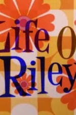 Watch Life of Riley Zumvo